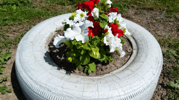 A painted tyre repurposed as a planter